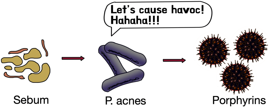 p.acnes producing inflammatory porphyrins in the scalp